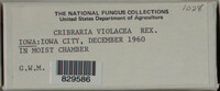 Image Associated With the Occurence
